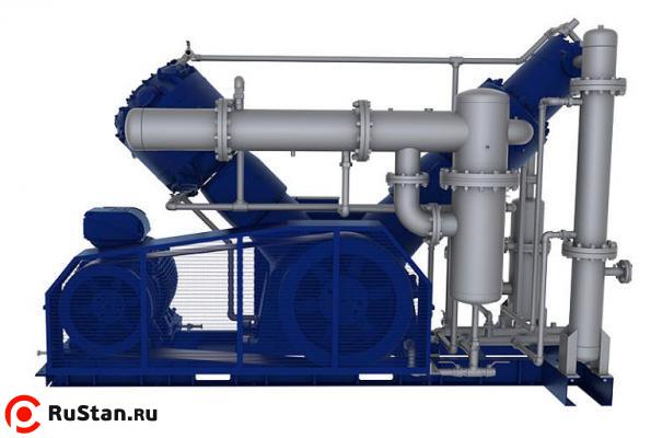 Воздушный безмасляный поршневой компрессор DALGAKIRAN PETMASTER 220 фото №3 Воздушный безмасляный поршневой компрессор DALGAKIRAN PETMASTER 220 фото №3