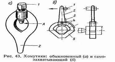 хамутики обыкновенный и самозахватывающий